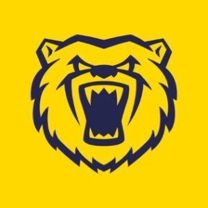 Warwickshire_Women_cricket_team_logo